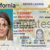 California Driver License Template PSD