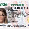 Florida Drivers License Back New Template PSD