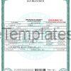 California Birth Certificate Template