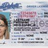 South Dakota Driver License Template Front