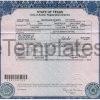 Texas Birth Certificate Template PSD