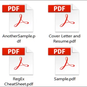 What is a pdf file What is a pdf file