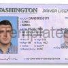 Washington Driver License Template